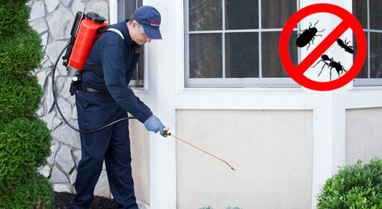 Ağrı Uçan Haşere İlaçlama böcek ilaçlama ve haşere kontrolü — ilaclama-tr.com